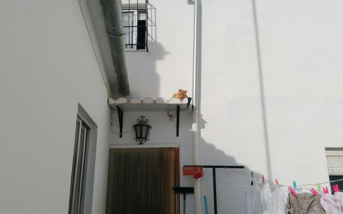 Image No.21-5 Bed House for sale