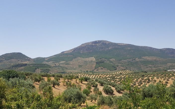 Image No.22-2 Bed House for sale