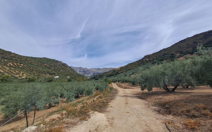 Image No.61-5 Bed House for sale