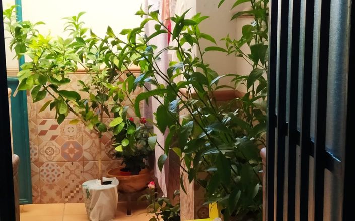 Image No.9-2 Bed House for sale