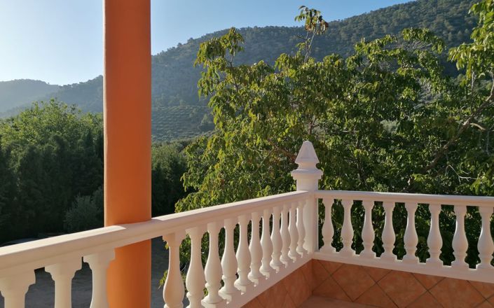 Image No.51-5 Bed House for sale