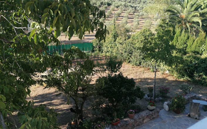 Image No.53-5 Bed House for sale