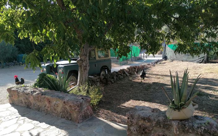 Image No.54-5 Bed House for sale