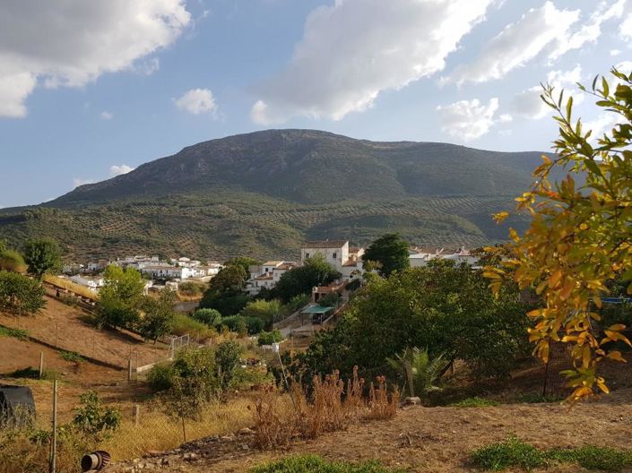 Image No.10-3 Bed House for sale