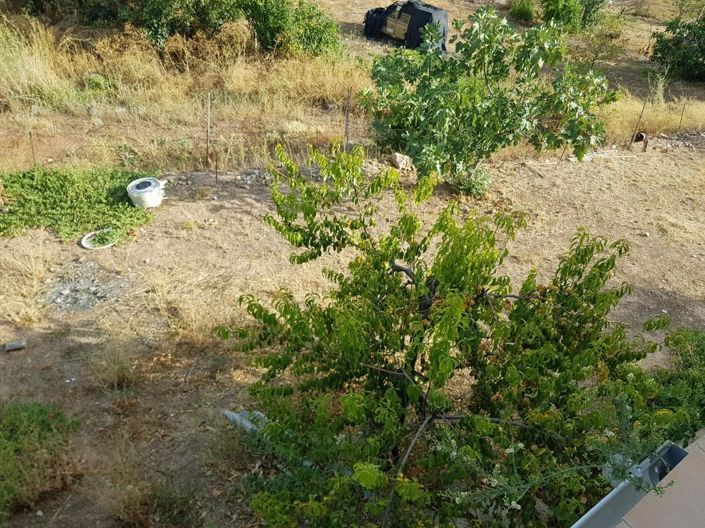 Image No.26-3 Bed House for sale