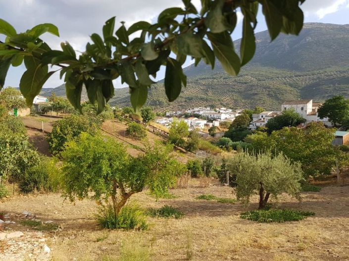 Image No.5-3 Bed House for sale