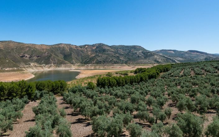 Image No.4-6 Bed House for sale