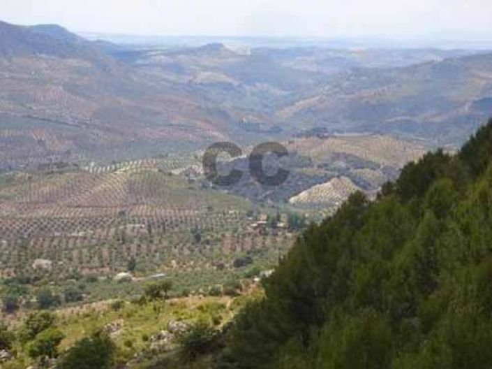 Image No.18-4 Bed House for sale