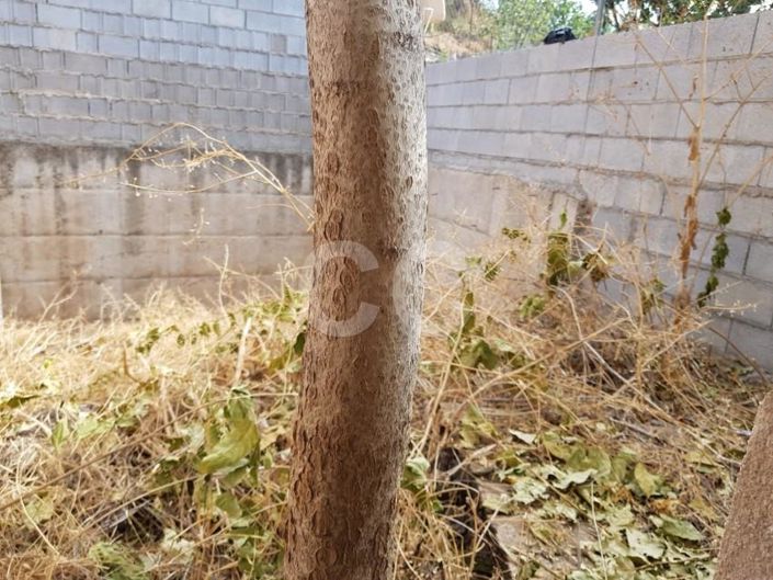 Image No.19-4 Bed House for sale