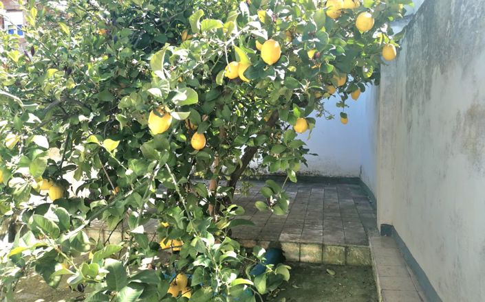 Image No.23-4 Bed House for sale