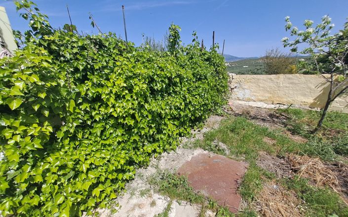 Image No.21-4 Bed House for sale