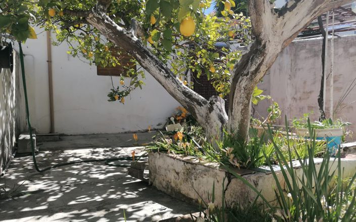 Image No.22-5 Bed House for sale