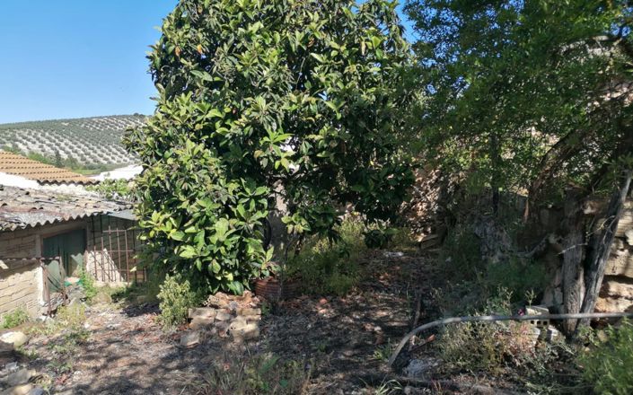 Image No.37-4 Bed House for sale