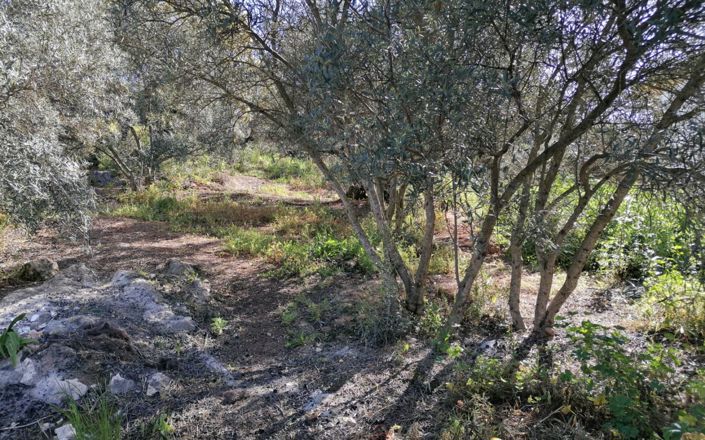 Image No.40-4 Bed House for sale