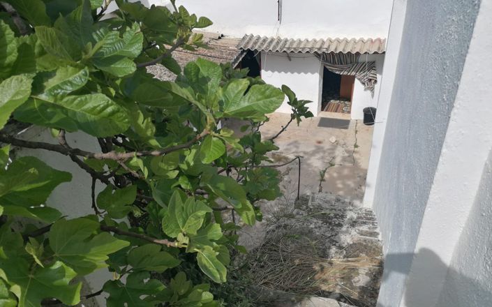 Image No.20-3 Bed House for sale