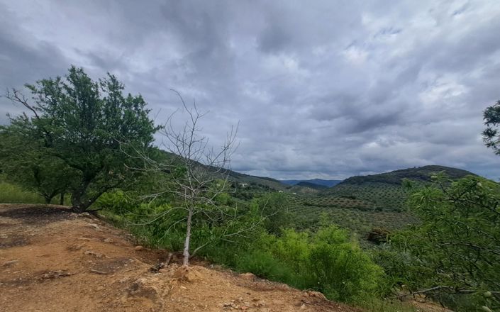 Image No.15-3 Bed House for sale