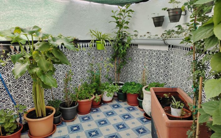 Image No.19-4 Bed House for sale