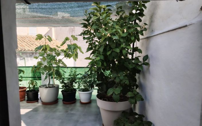 Image No.33-4 Bed House for sale