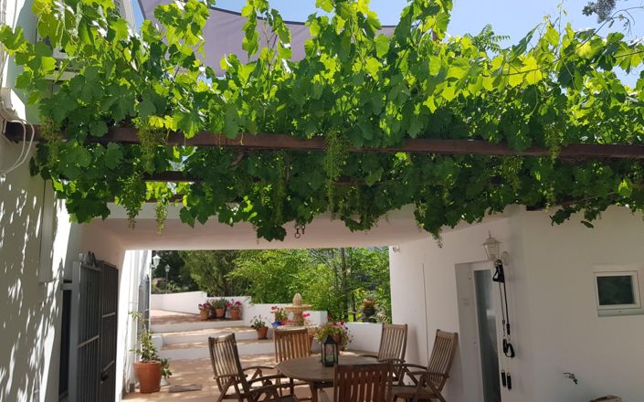 Image No.21-3 Bed House for sale