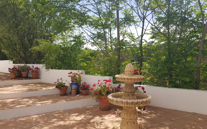 Image No.23-3 Bed House for sale