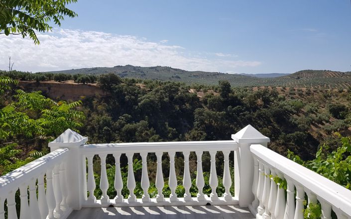 Image No.47-3 Bed House for sale