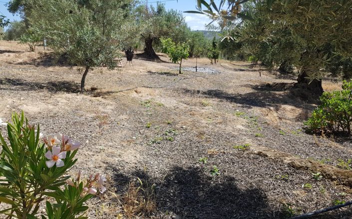 Image No.60-3 Bed House for sale