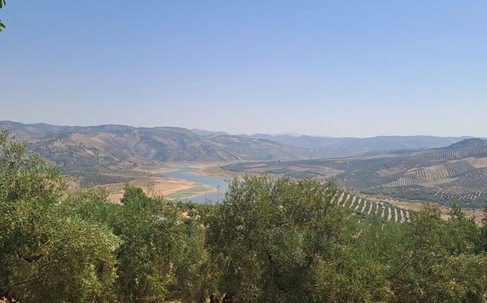 Image No.10-5 Bed House for sale