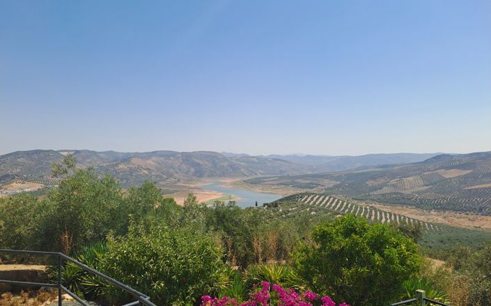 Image No.9-5 Bed House for sale