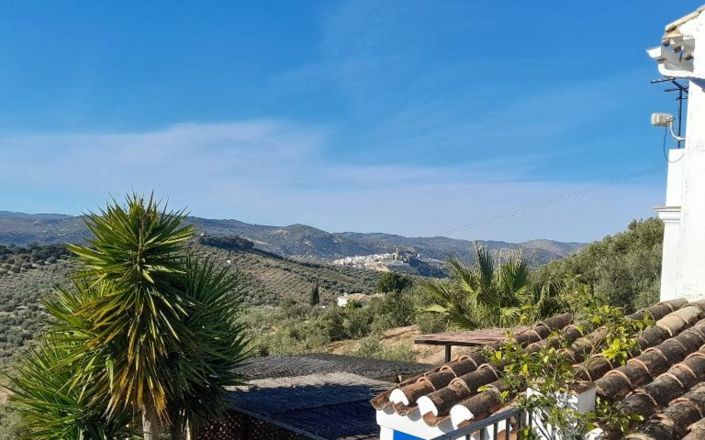 Image No.10-6 Bed House for sale