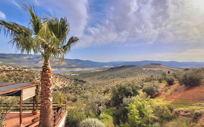 Image No.55-6 Bed House for sale