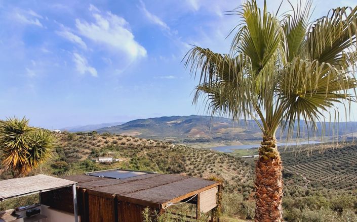 Image No.56-6 Bed House for sale