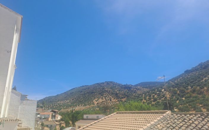 Image No.7-4 Bed House for sale