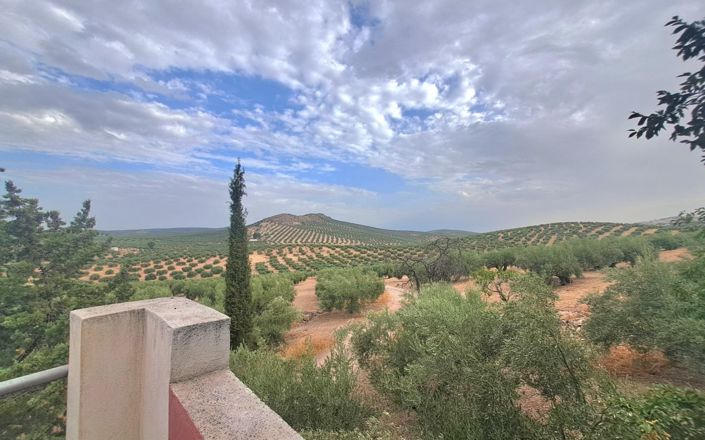 Image No.23-7 Bed House for sale