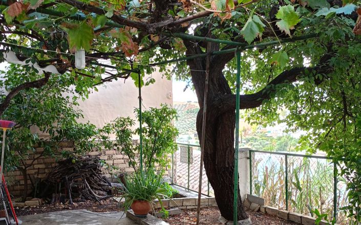 Image No.34-4 Bed House for sale