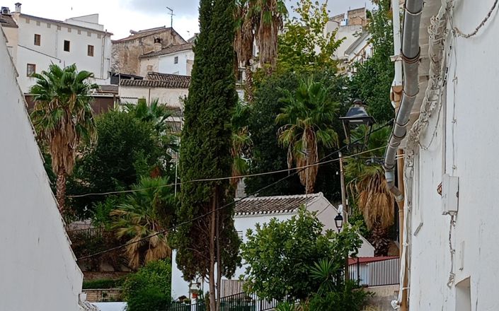 Image No.4-4 Bed House for sale