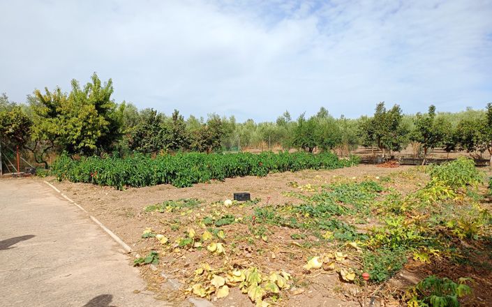 Image No.13-3 Bed House for sale