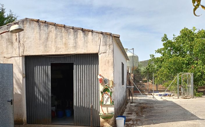 Image No.19-3 Bed House for sale