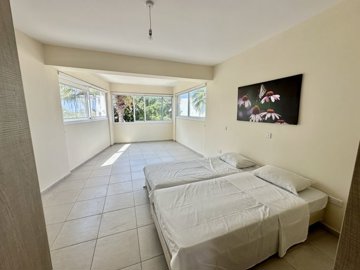 ce0481b3-8a0a-4dea-9332-1f2a19655921