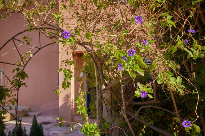 Image No.13-3 Bed House for sale