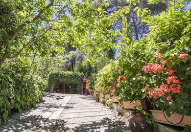 70730bde-bf05-4294-9f99-1887928ea498