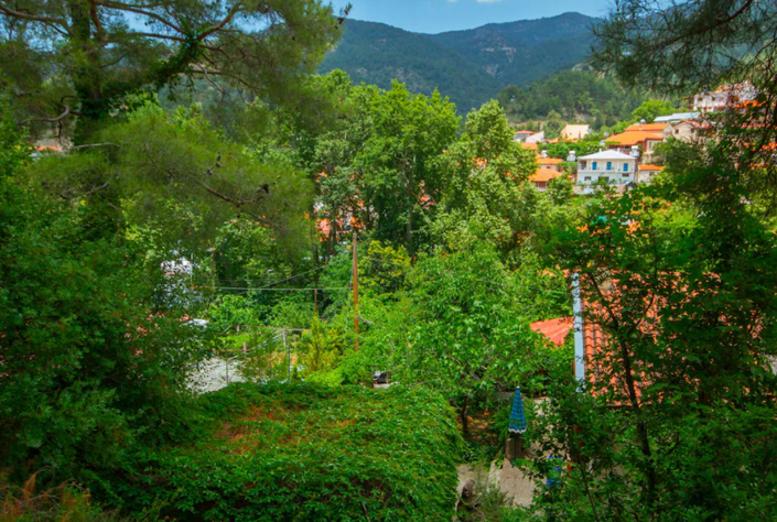 Image No.9-3 Bed House for sale