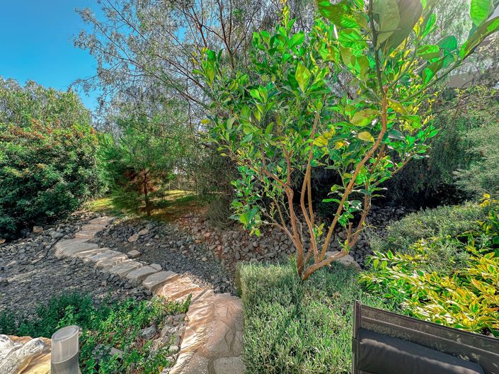 Image No.24-4 Bed House for sale