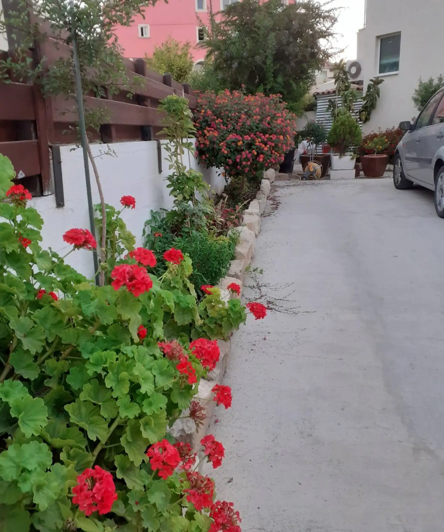 Image No.16-3 Bed House for sale