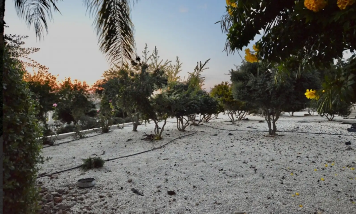 Image No.4-7 Bed Villa for sale