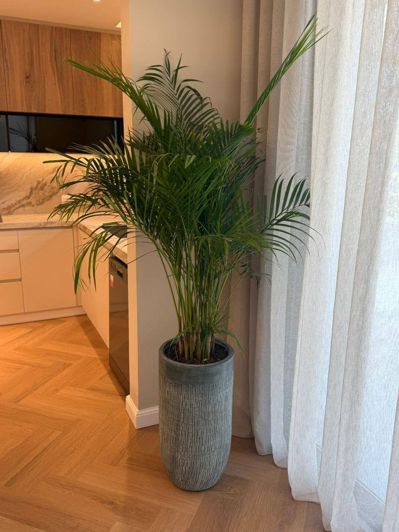 Image No.16-3 Bed Apartment for sale