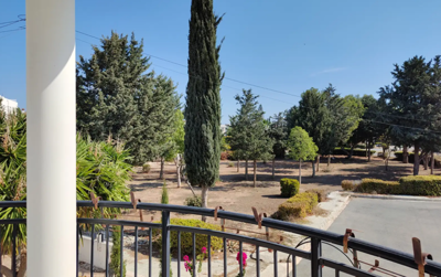 2132f4e6-fe01-46d7-915e-0630484e33bd