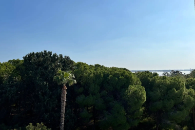 b5a974ae-9da5-4508-bd62-f40f1be37d96