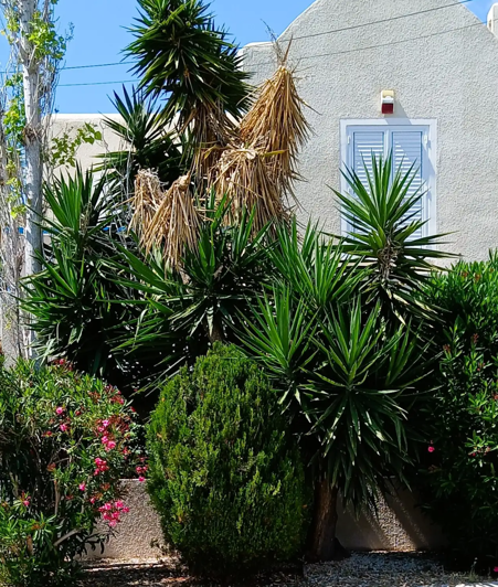 Image No.15-3 Bed House for sale