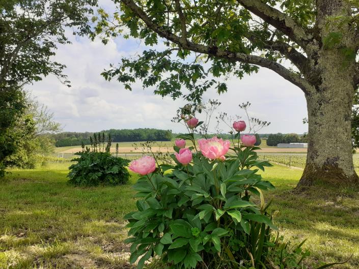 Image No.18-4 Bed Farmhouse for sale