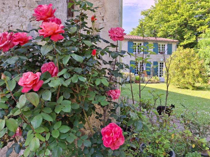 Image No.19-4 Bed Farmhouse for sale